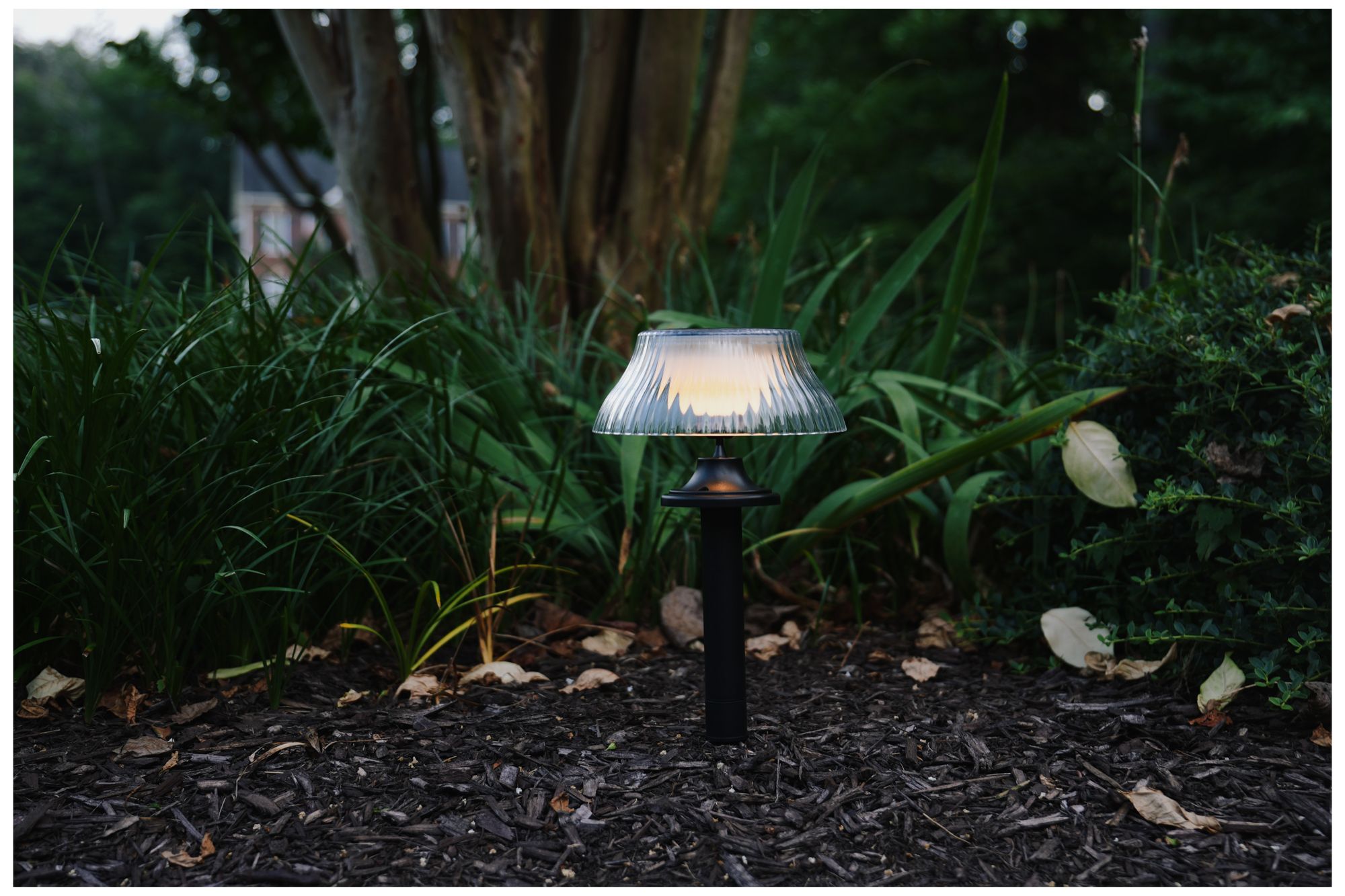 Image 3 Solar-Powered Scallop Lamp Lights more views