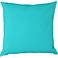 Solid Sea Green 20" Square Outdoor-Safe Fabric Accent Pillow