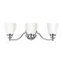 4_Somerville 23"W Polished Chrome 3-Light Vanity Bath Light more views