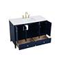 5_Sommerville 48" Wide Blue Single Sink Bathroom Vanity more views