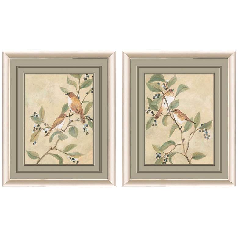 Image 1 Songbird Fresco 19"W x 23"H Framed Art Set of 2