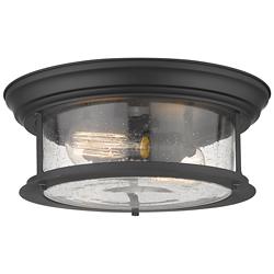 Sonna 13 1/2" Wide Matte Black 2-Light Ceiling Light