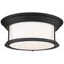 2_Sonna 15 1/2" Wide Matte Black Ceiling Light