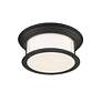 6_Sonna 15 1/2" Wide Matte Black Ceiling Light more views