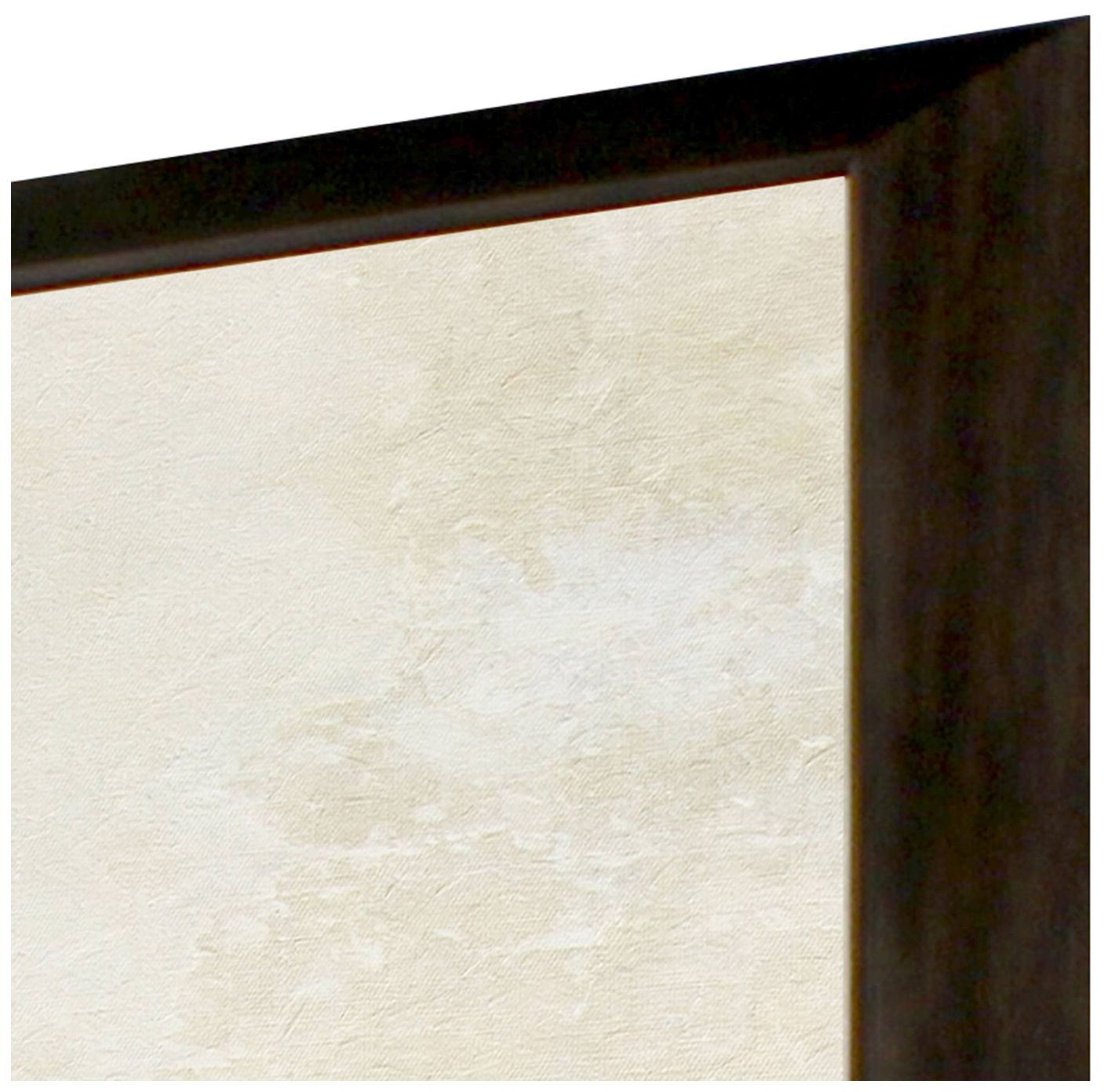 Image 3 Sonoran I 27"W x 39"H Framed Art more views