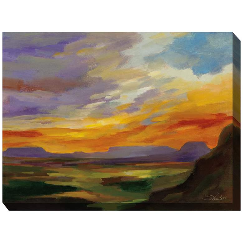 Image 1 Sonoran Sunset 40" Wide All-Weather Outdoor Canvas Wall Art