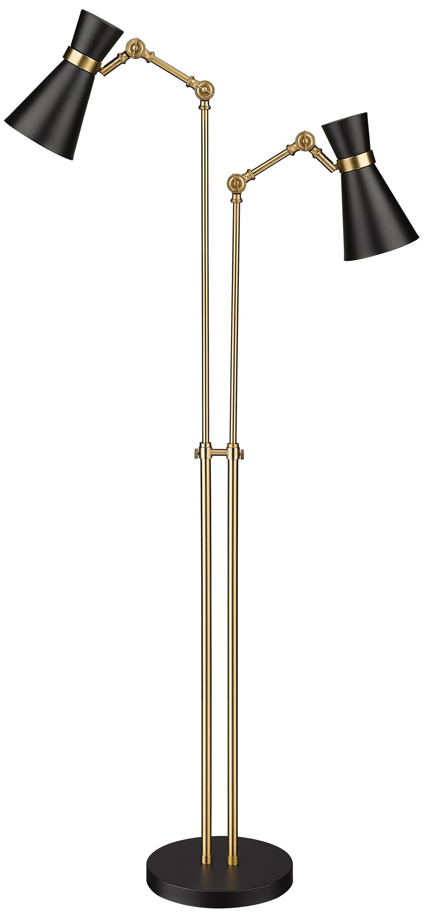 Soriano by Z-Lite Matte Black + Heritage Brass 2 Light Floor Lamp