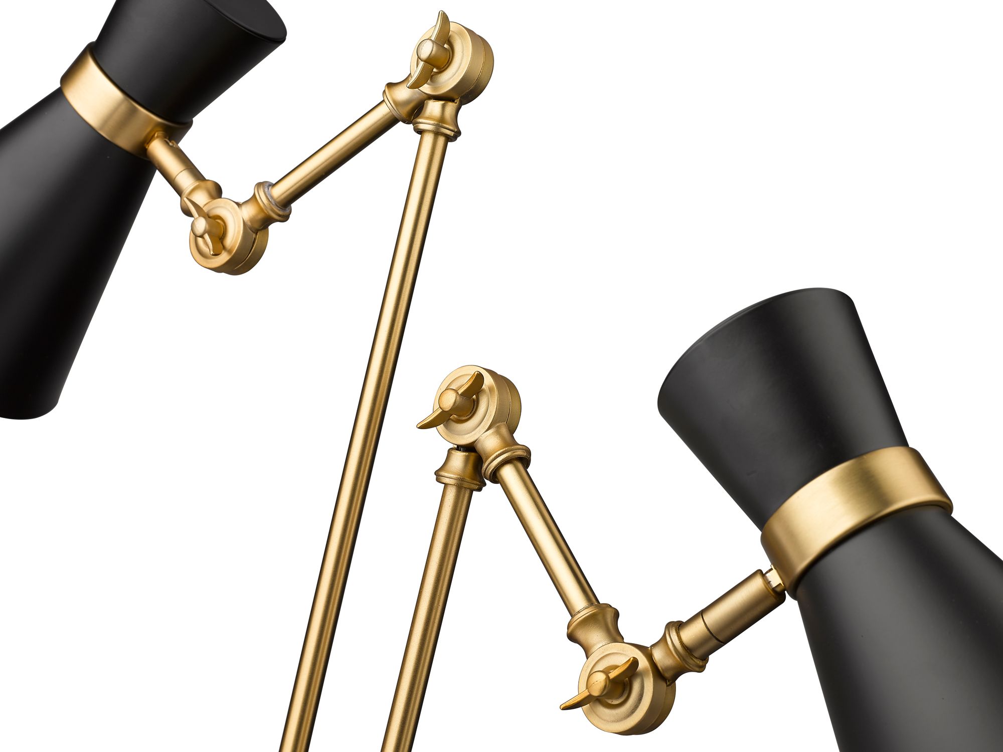 Soriano by Z-Lite Matte Black + Heritage Brass 2 Light Floor Lamp in scene