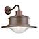 South Street 14 1/4" High Outdoor Old Rust Wall Light