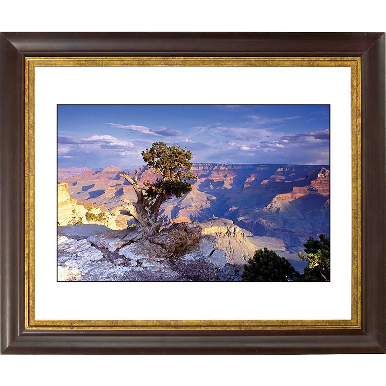 Image 1 Southwest Canyon Gold Bronze Frame Giclee 20 inch Wide Wall Art