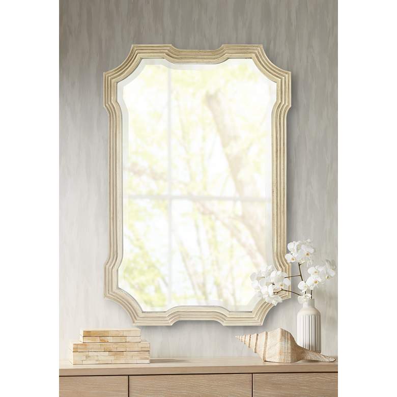 Image 1 Spence Hill 27 inch x 40 1/4 inch Beveled Wall Mirror
