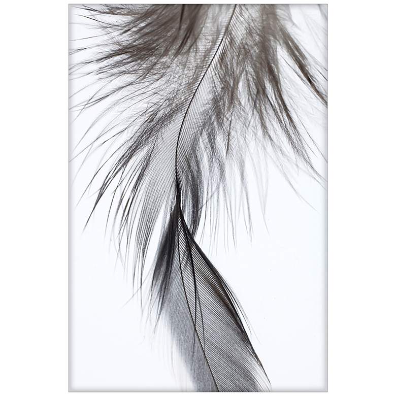 Image 1 Spirit 2 24 In. by 48 In. Framed Art