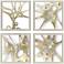 Splash of Gold I 22"W x 22"H Framed Art Set of 4