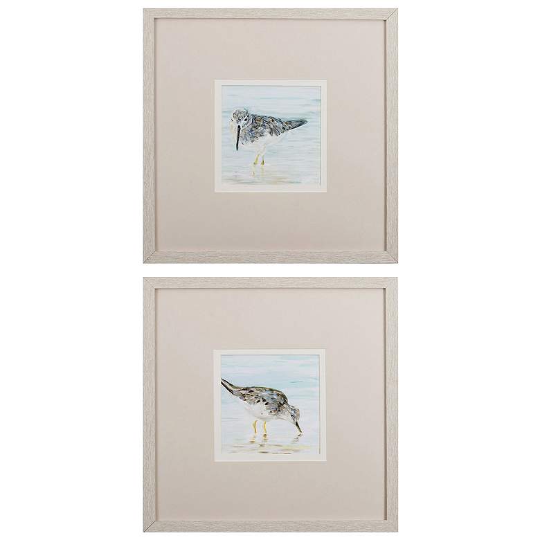 Image 1 Spotted Sandpiper 19"W x 19"H Framed Art Set of 2