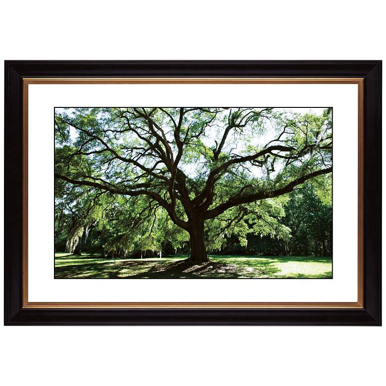 Image 1 Spreading Tree Giclee 41 3/8 inch Wide Wall Art