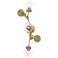 Sprig 29.8" High Modern Brass Sconce With Water Glass Shade