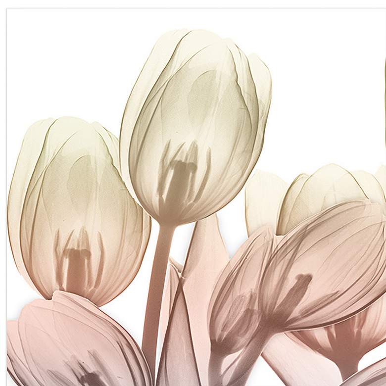 Image 4 Spring Blooms 63" Wide Tempered Glass Graphic Wall Art more views