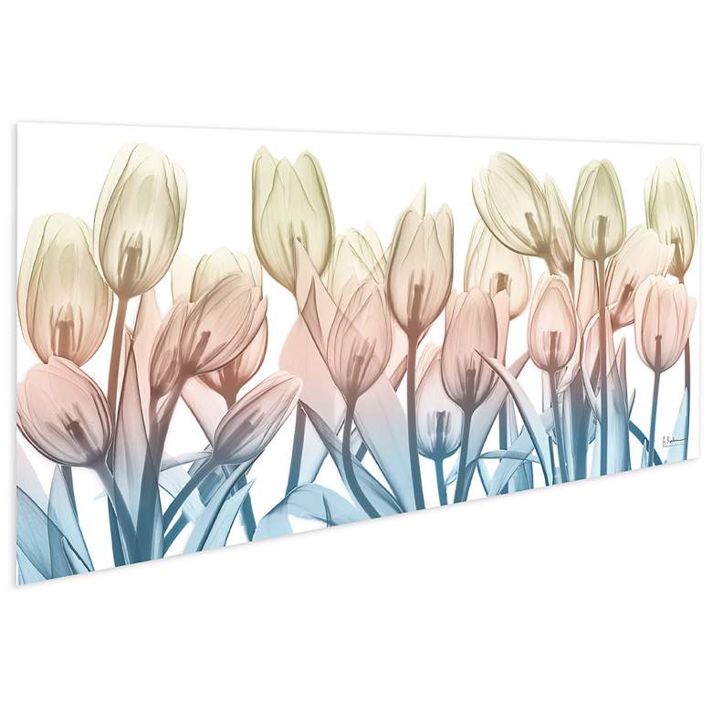 Image 5 Spring Blooms 63 inch Wide Tempered Glass Graphic Wall Art more views