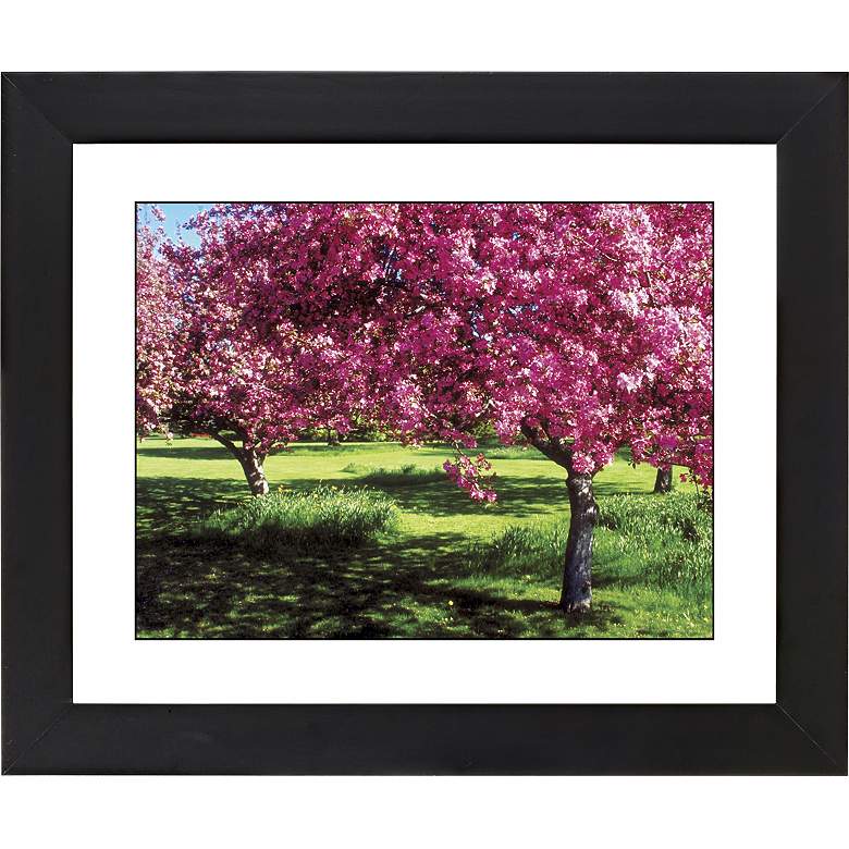 Image 1 Spring Trees Black Frame Giclee 23 1/4 inch Wide Wall Art