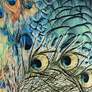 Thumbnail2 of Springcrest Dyna Peacock Print Drum Lamp Shade 14x16x11 (Spider) more views