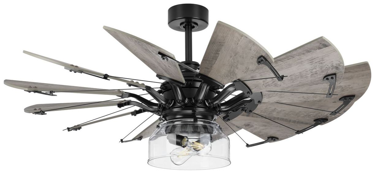 Springer Collection Clear Glass Ceiling Fan Light Kit