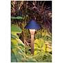 6_Springfield 15 3/4"H Bronze Path Light by Hinkley Lighting more views