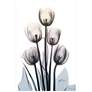 Springing Tulips 48" High Tempered Glass Graphic Wall Art in scene