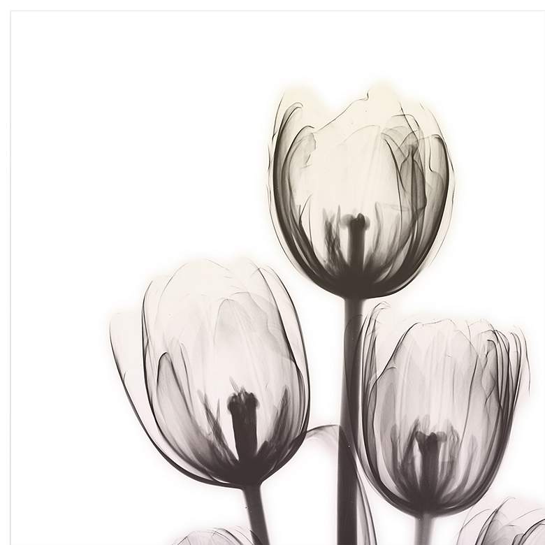 Image 4 Springing Tulips 48" High Tempered Glass Graphic Wall Art more views