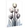 Springing Tulips 48" High Tempered Glass Graphic Wall Art in scene