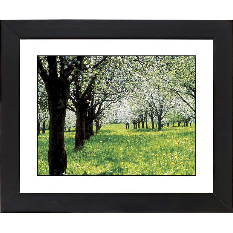 Image 1 Springtime Black Frame Giclee 23 1/4 inch Wide Wall Art