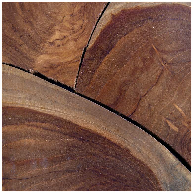 Image 5 Square Teak Root Slice Coffee Table more views