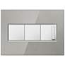 Stainless Steel 3-Gang Wall Plate w/ 2 Switches and Dimmer