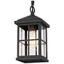 1_Stan 10.6" High Black Glass Outdoor Hanging Light