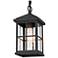 Stan 10.6" High Black Glass Outdoor Hanging Light
