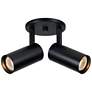 Thumbnail1 of Stanly 7.25" High 2-Light Matte Black Finish Spotlight
