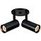 Stanly 7.25" High 2-Light Matte Black Finish Spotlight
