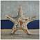 Starfish by the Sea 24" Square Giclee Printed Wood Wall Art