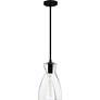 3_Stetson 1-Light Matte Black Mini Pendant more views