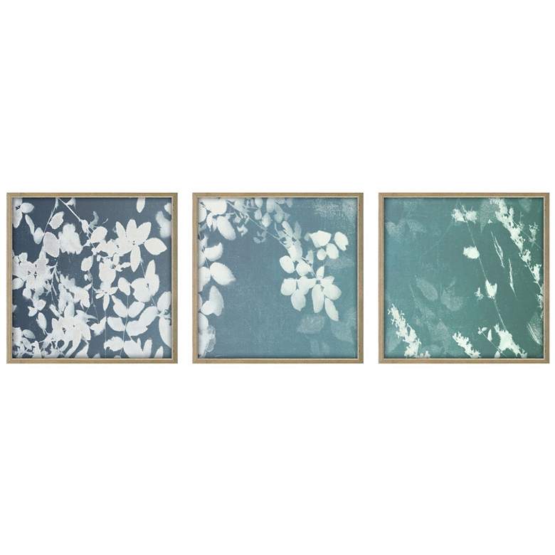 Image 1 Still Floral I 11"W x 11"H Framed Wall Art Set of 3
