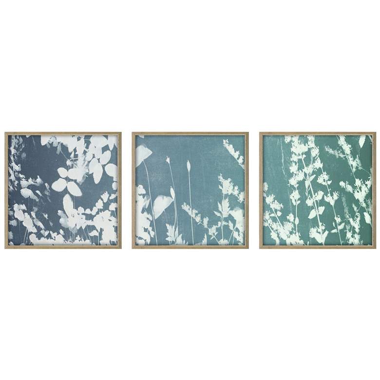 Image 1 Still Floral II 11"W x 11"H Framed Wall Art Set of 3
