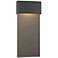 Stratum Large Dark Sky LED Outdoor Sconce - Black Finish - Iron Accents