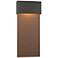 Stratum Large Dark Sky LED Outdoor Sconce - Bronze Finish - Bronze Accents