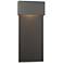 Stratum Large Dark Sky LED Outdoor Sconce - Iron - Black Accents