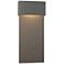 Stratum Large Dark Sky LED Outdoor Sconce - Iron - Iron Accents