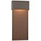 Stratum Large Dark Sky LED Outdoor Sconce - Smoke Finish - Bronze Accents