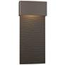 Stratum Large Dark Sky LED Outdoor Sconce - Smoke Finish - Bronze Accents