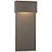 Stratum Large Dark Sky LED Outdoor Sconce - Smoke - Iron Accents