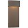 Stratum Large Dark Sky LED Outdoor Sconce - Smoke - Smoke Accents
