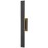Stylet 36"H Black Center Backplate LED Outdoor Wall Light