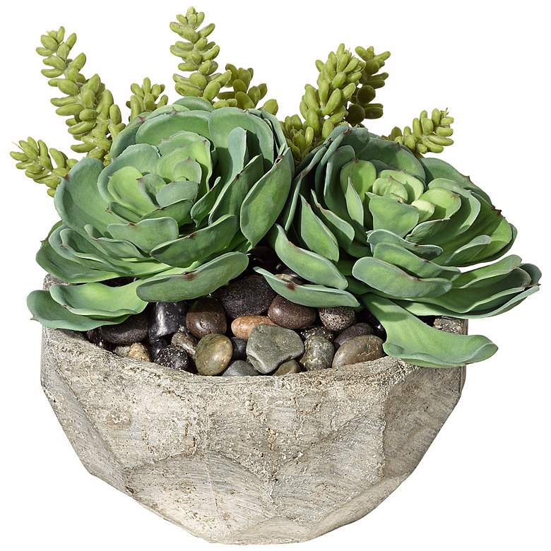 Succulent Arrangement in Small Stone Bowl